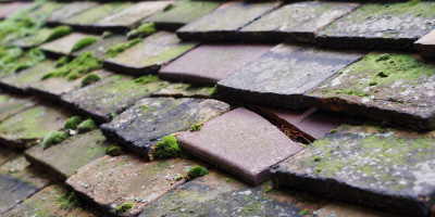 Trefeurig roof repair costs